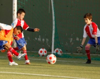  Training wie Profis 